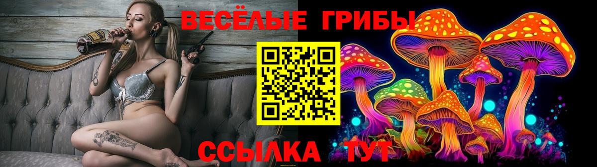 Галлюциногенные грибы Cubensis  Вход с VPN  Похвистнево 