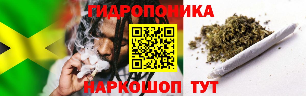 Марихуана сатива  Марихуана OG Kush  Похвистнево  Канабис сатива  Вход с VPN 